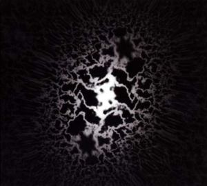 Trad Gras Och Stenar - Homeless Cats in der Gruppe Minishops / Träd Gräs Och Stenar bei Bengans Skivbutik AB (506909)