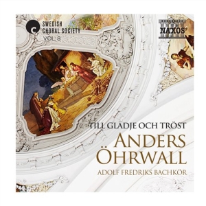 Various/ Anders Öhrwall - Till Glädje Och Tröst in der Gruppe Externt_Lager / Naxoslager bei Bengans Skivbutik AB (507622)