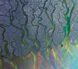 Alt-J - An Awesome Wave in der Gruppe CD / Pop-Rock bei Bengans Skivbutik AB (511147)