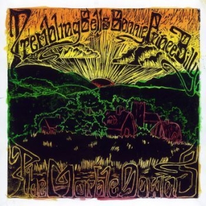 Trembling Bells & Bonnie Prince Bil - Marble Downs in der Gruppe Minishops /  bei Bengans Skivbutik AB (511388)