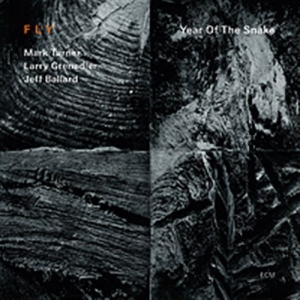 Fly - Year Of The Snake in der Gruppe CD / Jazz bei Bengans Skivbutik AB (512019)
