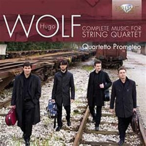 Wolf - String Quartets in der Gruppe CD bei Bengans Skivbutik AB (512119)