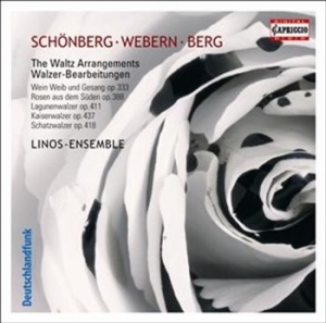 Schönberg / Webern / Berg - Waltz Arrangements in der Gruppe CD bei Bengans Skivbutik AB (512515)