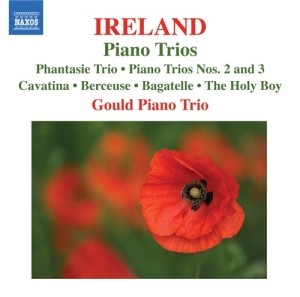 Ireland - Piano Trios in der Gruppe Externt_Lager / Naxoslager bei Bengans Skivbutik AB (512596)