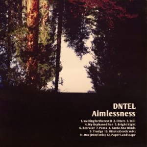 Dntel - Aimlessness in der Gruppe CD / Pop bei Bengans Skivbutik AB (512825)