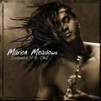 Meadows Marion - Dressed To Chill in der Gruppe CD / Jazz bei Bengans Skivbutik AB (513414)