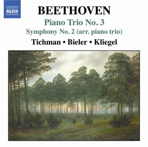Beethoven - Piano Trio No 3 in der Gruppe CD bei Bengans Skivbutik AB (515448)