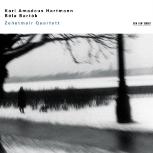 Zehetmair Quartett - Karl Amadeus Hartmann / Béla Bartók in der Gruppe Externt_Lager / Naxoslager bei Bengans Skivbutik AB (515774)