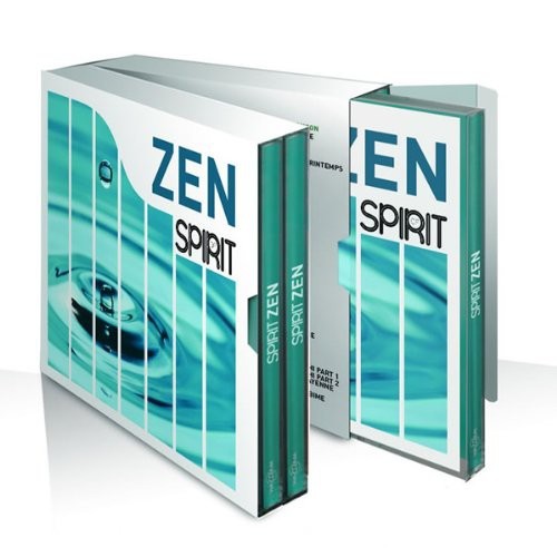 Blandade Artister - Spirit Of Zen in der Gruppe CD / Pop bei Bengans Skivbutik AB (517207)