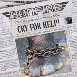 Bonfire - Cry For Help in der Gruppe Minishops / Bonfire bei Bengans Skivbutik AB (518383)