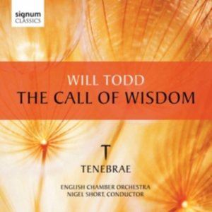 Todd - The Call Of Wisdom in der Gruppe Externt_Lager / Naxoslager bei Bengans Skivbutik AB (519792)