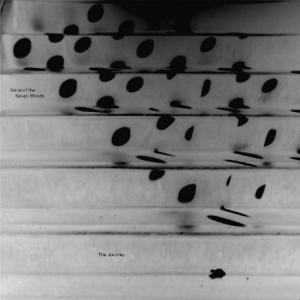 Voice Of The Seven Woods - Journey in der Gruppe CD / Elektroniskt bei Bengans Skivbutik AB (522414)
