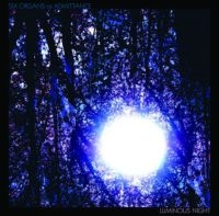 Six Organs Of Admittance - Luminous Night in der Gruppe CD / Pop-Rock bei Bengans Skivbutik AB (524726)