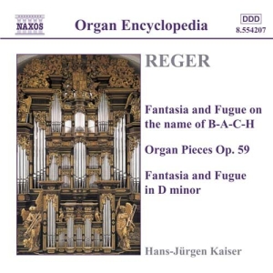 Reger Max - Organ Works Vol 3 in der Gruppe CD bei Bengans Skivbutik AB (524727)