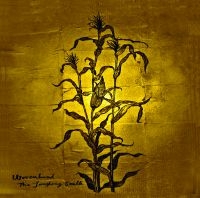 Wovenhand - Laughing Stalk in der Gruppe CD bei Bengans Skivbutik AB (525602)