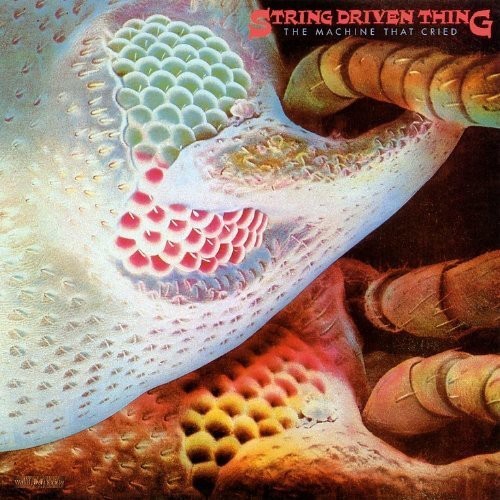 String Driven Thing - Machine That Cried in der Gruppe Övrigt / bei Bengans Skivbutik AB (526266)