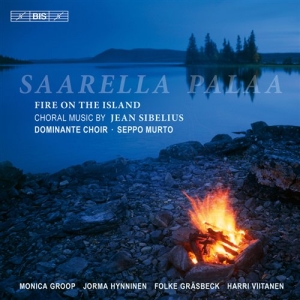 Sibelius - Fire On The Island in der Gruppe CD bei Bengans Skivbutik AB (526648)
