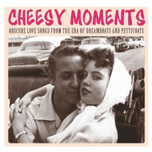 V/A - Cheesy Moments - Cheesy Moments (2 Cd) in der Gruppe CD / Pop-Rock bei Bengans Skivbutik AB (526900)