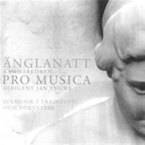 Various - Änglanatt (Angel Night) in der Gruppe Externt_Lager / Naxoslager bei Bengans Skivbutik AB (529362)