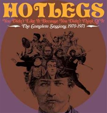 Hotlegs - You Didn't Like It Because You Didn in der Gruppe CD / Pop bei Bengans Skivbutik AB (531254)