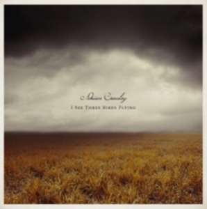 Crowley Adrian - I See Three Birds Flying in der Gruppe CD / Hårdrock,Pop-Rock bei Bengans Skivbutik AB (531294)