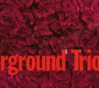 Chicago Underground Trio - Slon in der Gruppe CD / Pop-Rock bei Bengans Skivbutik AB (532560)