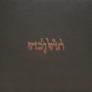 Godspeed You Black Emperor - Slow Riot For New Zero Kanada in der Gruppe Labels /  bei Bengans Skivbutik AB (533809)