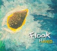 Flook - Haven in der Gruppe CD / Pop-Rock bei Bengans Skivbutik AB (535535)