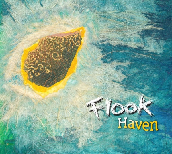 Flook - Haven in der Gruppe CD / Rock bei Bengans Skivbutik AB (535535)