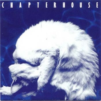 Chapterhouse - Whirlpool in der Gruppe CD / Bestseller bei Bengans Skivbutik AB (535646)