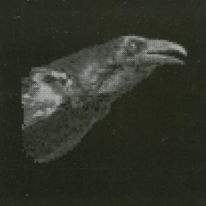 Cut City - Exit Decades in der Gruppe CD / Pop-Rock,Reggae bei Bengans Skivbutik AB (536577)