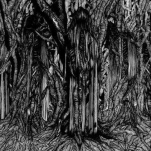 Sunn 0)) - Black One in der Gruppe CD / Hårdrock bei Bengans Skivbutik AB (537201)