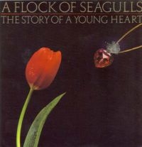 Flock Of Seagulls A - Story Of A Young Heart in der Gruppe CD bei Bengans Skivbutik AB (538448)