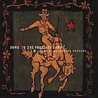 Blandade Artister - Down To Promised Land: 5 Yrs Of Blo in der Gruppe CD bei Bengans Skivbutik AB (538729)