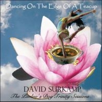 Surkamp David - Dancing On The Edge Os A Teacup in der Gruppe CD / Pop-Rock bei Bengans Skivbutik AB (539469)