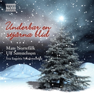 Various - Underbar En Stjärna Blid in der Gruppe cdonuppdat / CDON Jazz klassiskt NX bei Bengans Skivbutik AB (539480)