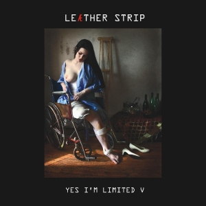 Leather Strip - Yes I'm Limited V 2 Cd Box in der Gruppe CD / Pop-Rock bei Bengans Skivbutik AB (539589)