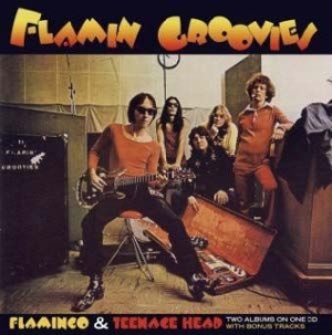 Flamin' Groovies - Flamingo/Teenage Head in der Gruppe CD / Pop-Rock bei Bengans Skivbutik AB (540051)