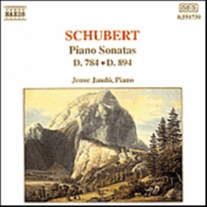 Schubert Franz - Piano Sonatas D 784 & 894 in der Gruppe Externt_Lager / Naxoslager bei Bengans Skivbutik AB (540798)