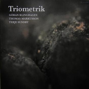 Triometrik - Triometrik in der Gruppe CD bei Bengans Skivbutik AB (542248)