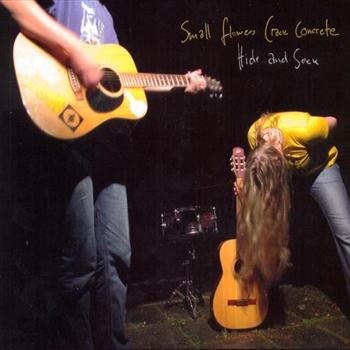 Small Flowers Crack Concrete - Hide And Seek in der Gruppe CD / Pop bei Bengans Skivbutik AB (542936)