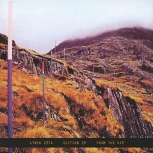 SECTION 25 - FROM THE HIP in der Gruppe CD / Pop-Rock bei Bengans Skivbutik AB (543381)