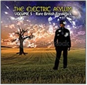 Various Artists - The Electric Asylum Vol 5 in der Gruppe CD / Rock bei Bengans Skivbutik AB (545422)