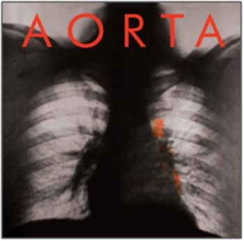 Aorta - Aorta in der Gruppe CD / Rock bei Bengans Skivbutik AB (546171)