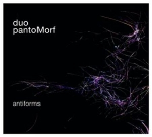 Duo Pantomorf - Antiforms in der Gruppe Externt_Lager / Naxoslager bei Bengans Skivbutik AB (546463)