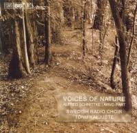 Schnittke/Pärt - Voices Of Nature in der Gruppe Externt_Lager / Naxoslager bei Bengans Skivbutik AB (547257)