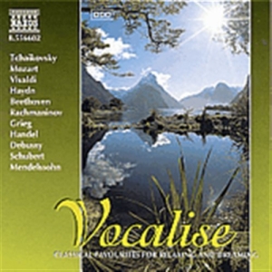 Various - Vocalise in der Gruppe CD bei Bengans Skivbutik AB (548047)
