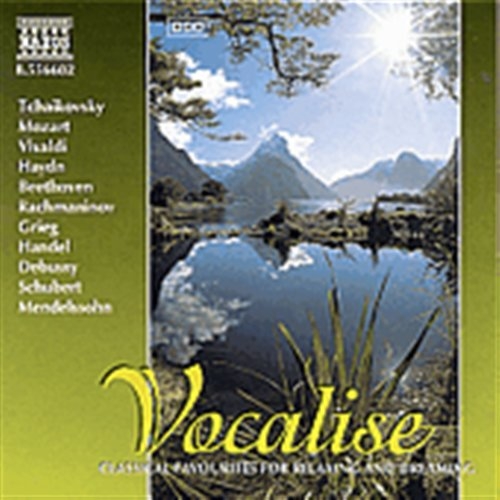 Various - Vocalise in der Gruppe CD / Bestseller bei Bengans Skivbutik AB (548047)