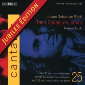 Bach Johann Sebastian - Cantatas Vol 25 in der Gruppe CD bei Bengans Skivbutik AB (548302)