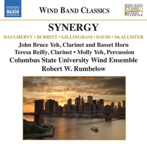 Various Composers - Synergy in der Gruppe CD bei Bengans Skivbutik AB (549040)